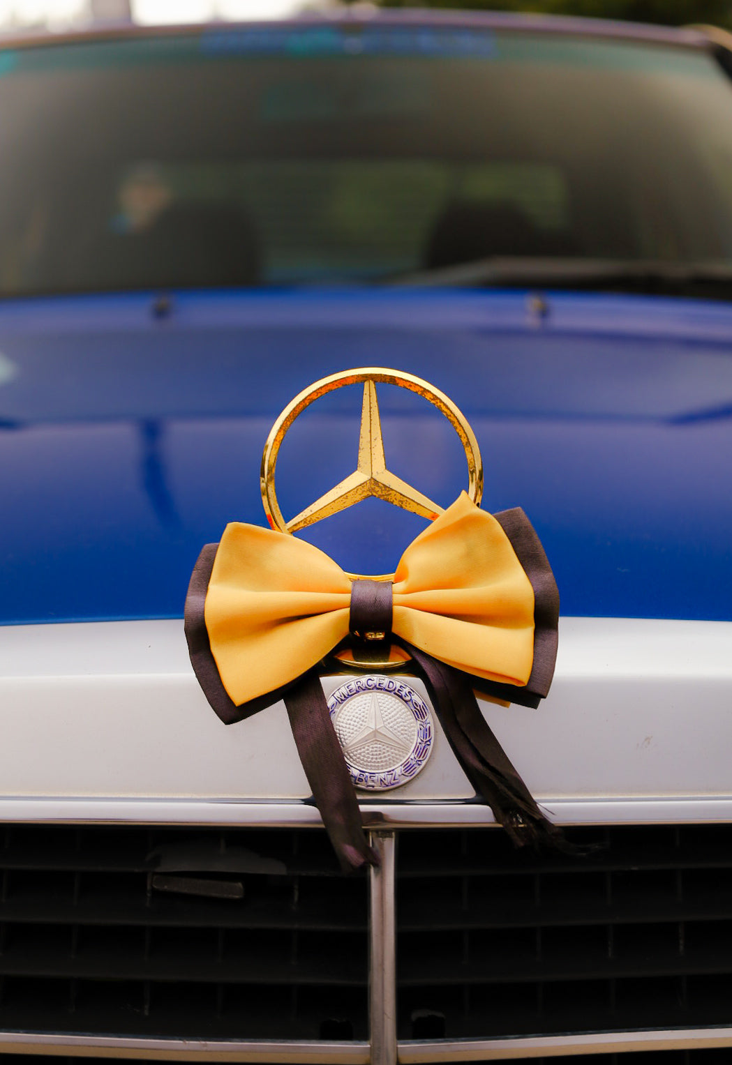 Mercedes Keychain